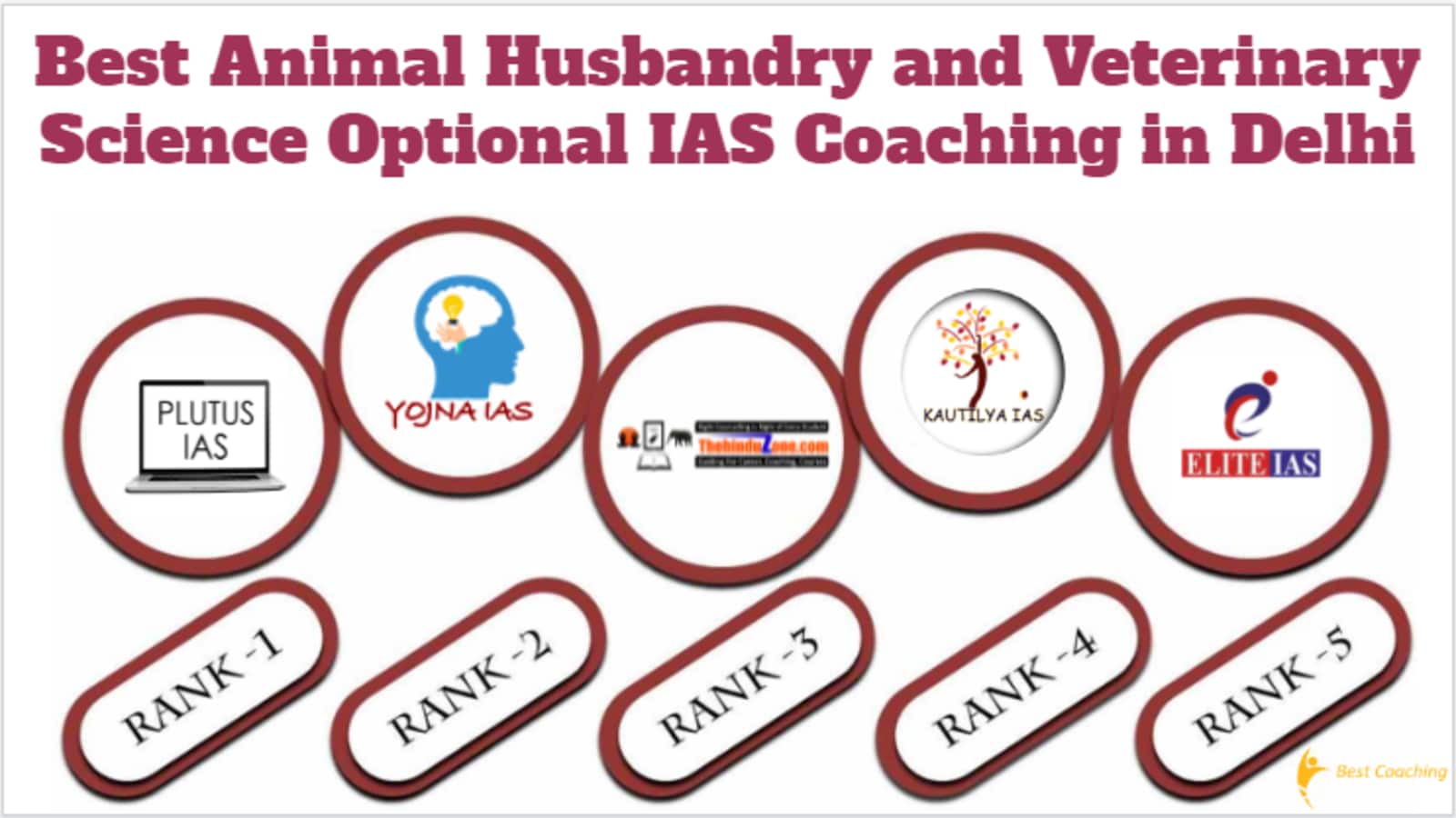 Best Animal Husbandry and Veterinary Science Optional IAS Coaching in Delhi  